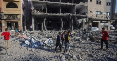 Politizar la denuncia de un genocidio